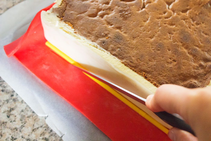 Buchtorte | Bücherwurm | Motivtorte | Nusstorte | Conny's Küchlein