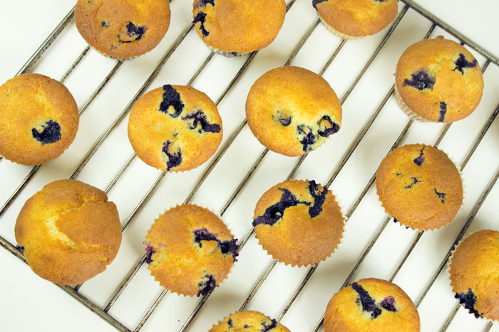 Heidelbeer-Sauerrahm Muffins Blueberry Topfen Quark | Conny's Küchlein